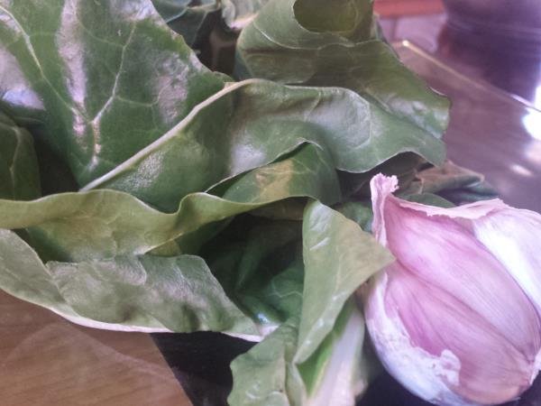 LCHF enolončnica iz blitve